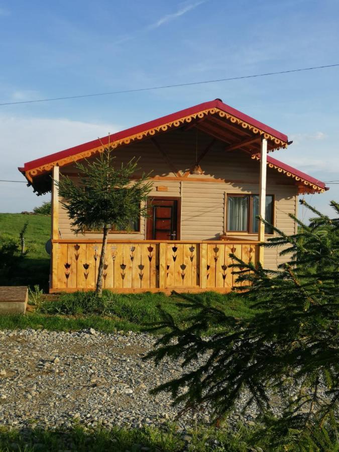 Cabana De Lemn Runcu Stone Exterior photo