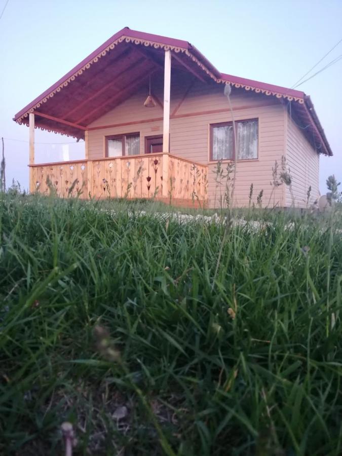 Cabana De Lemn Runcu Stone Exterior photo